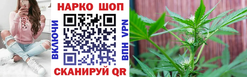 Купить закладку КОКАИН  Каннабис  Меф  АМФЕТАМИН  Гашиш  A PVP  Назрань